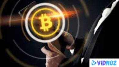 biitland.com stablecoins
