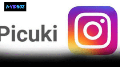 picuki alternative