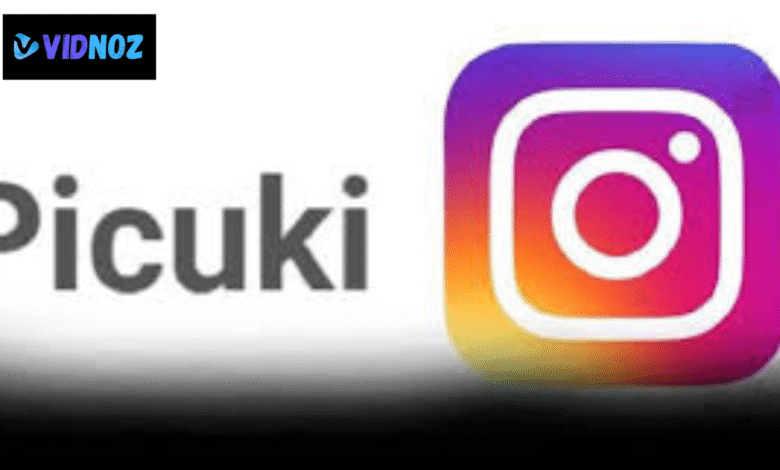 picuki alternative